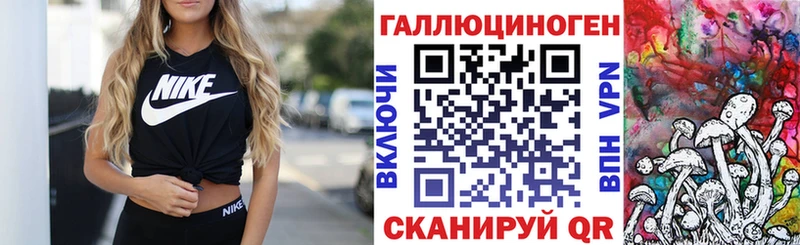 где купить наркоту Новоалтайск Галлюциногенные грибы Cubensis